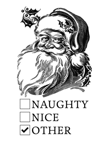 The Naughty Nice Other Card